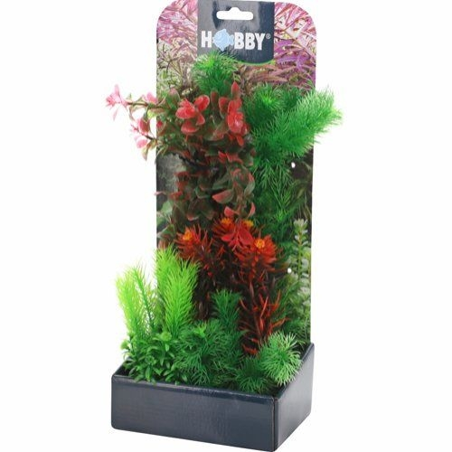 Aquarium Pflanzen Set 3 -Fischfutter Verkaufsgeschäft Plantasy set 3 4011444514820 p