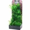 Aquarium Pflanzen Set 4 -Fischfutter Verkaufsgeschäft Plantasy set 4 5701883349471 p