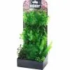 Aquarium Pflanzen Set 5 -Fischfutter Verkaufsgeschäft Plantasy set 5 4011444514844 p