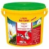 Sera Koi Color Medium 3,8l | 1,1 Kg Teichfischfutter, Koifutter -Fischfutter Verkaufsgeschäft sera Koi Color Medium 3800 ml 1 1 kg 213504
